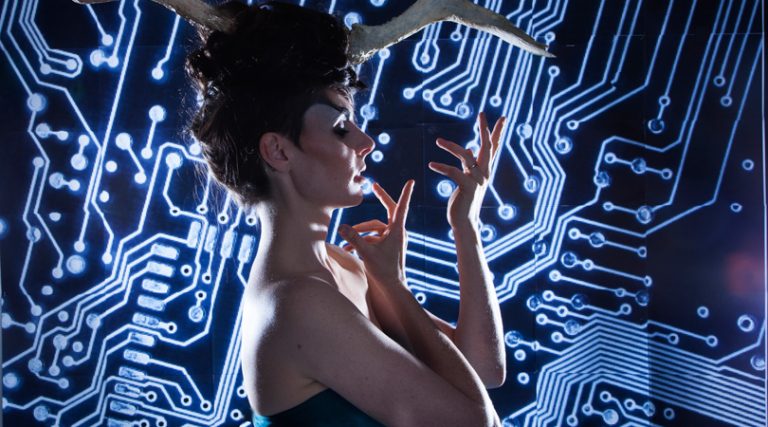 Elizabeth Shepherd: The Signal
